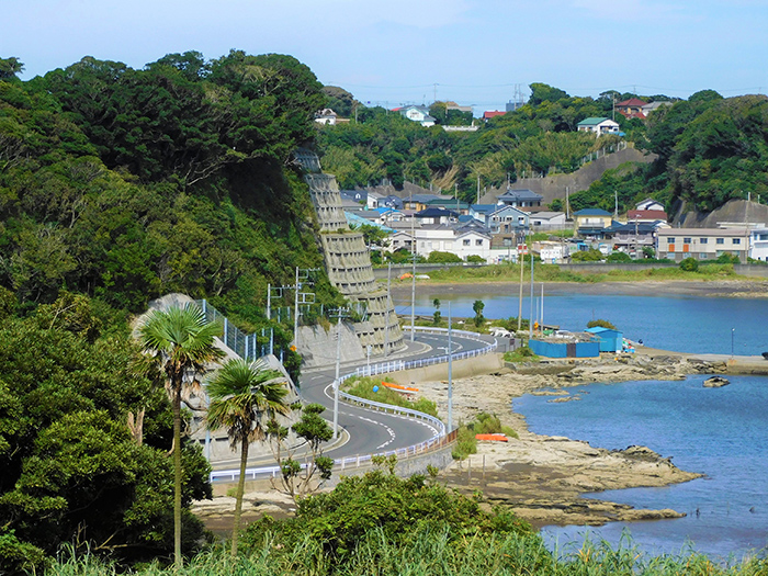 藤平農園 遠景